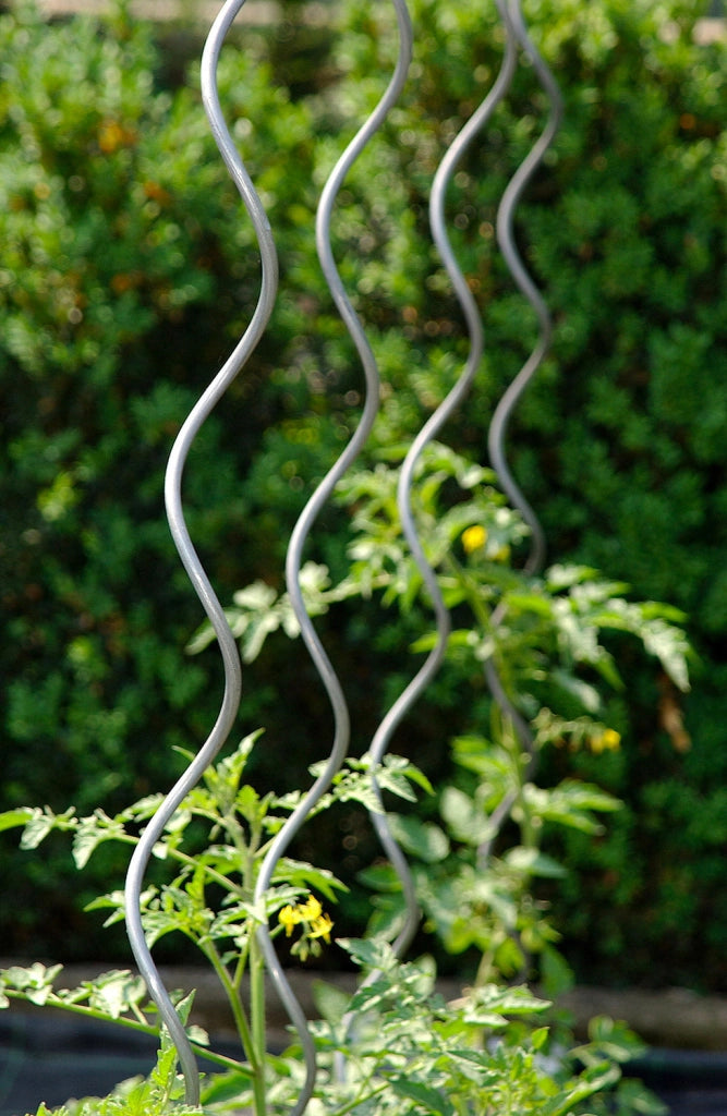 Set 10 Sostegni Tutori a Spirale per Piante Pomodori 180 cm in Acciaio Agrati