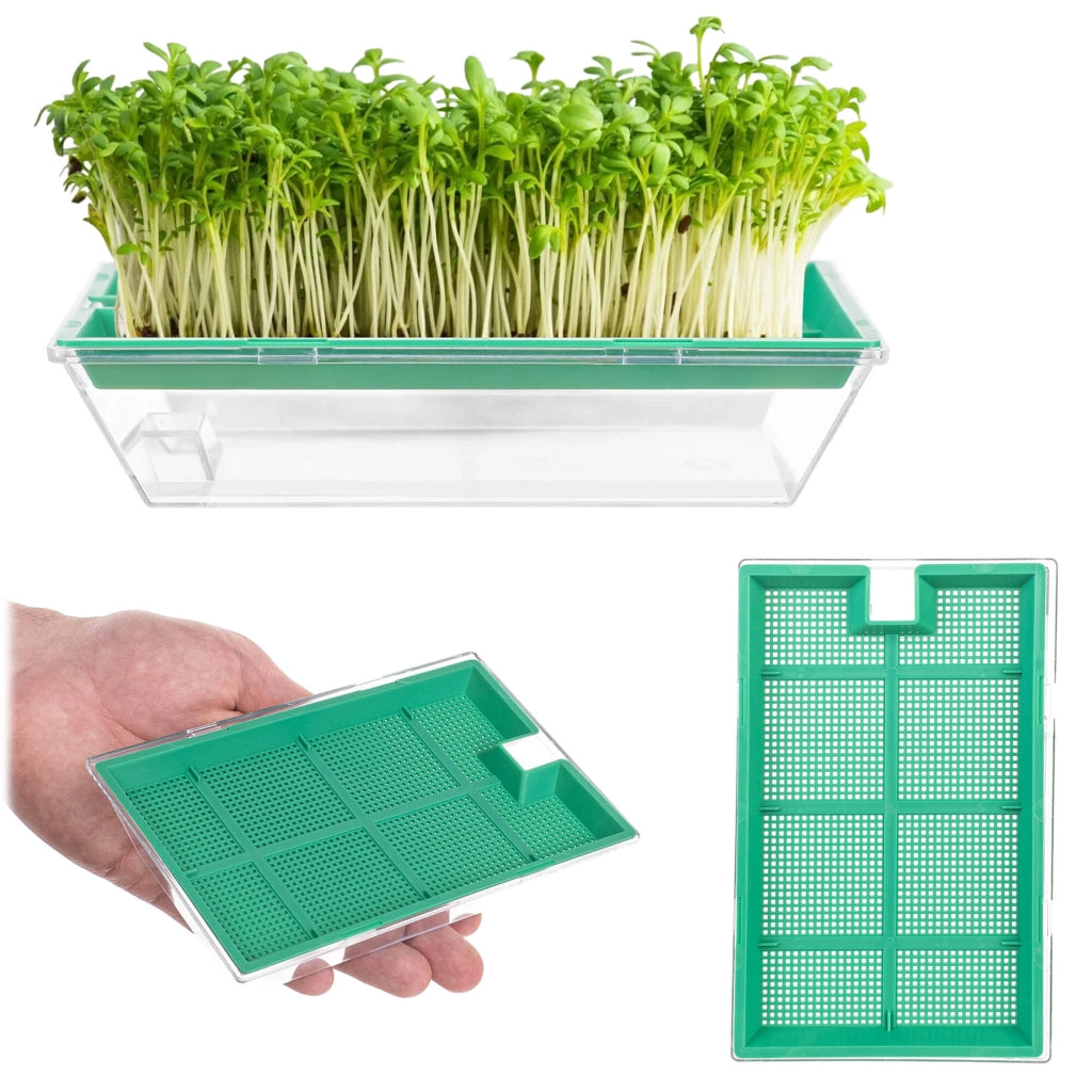 Macchina per la germinazione di semi KADAX, coltivazione di crescione, contenitore per la germinazione di semi