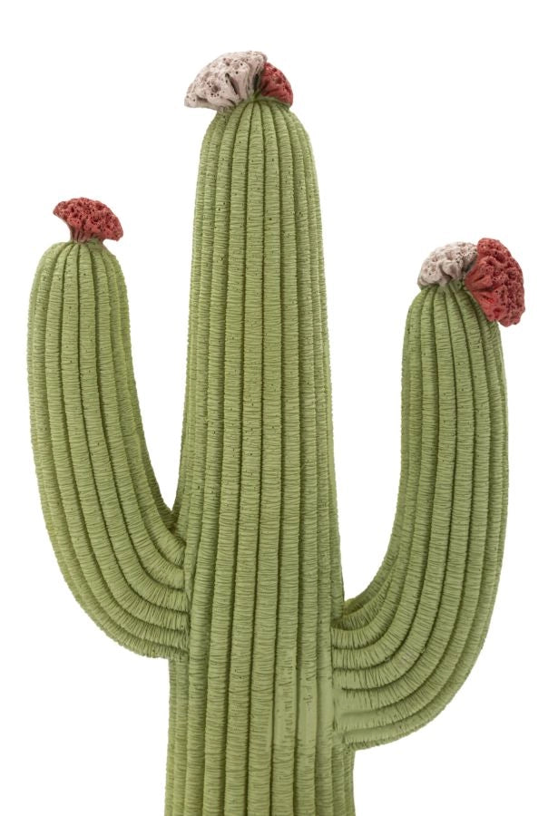 Cactus 16,5x11x45 cm in Resina Multicolor